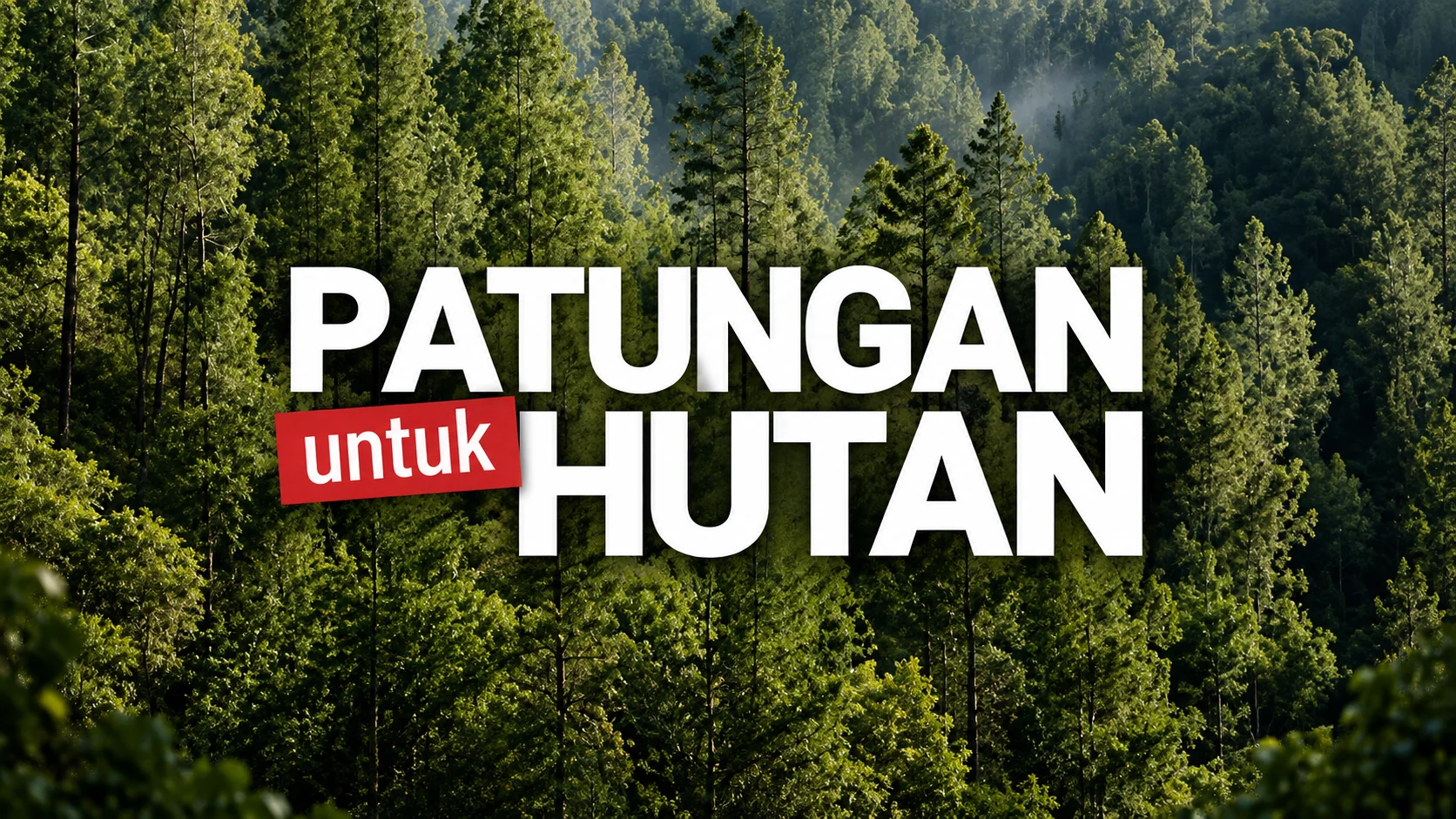 Patungan untuk Hutan